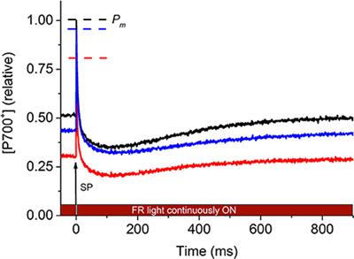 Non-intrusive Assessment of Photosystem II and Photosystem I in Whole Coral Tissues